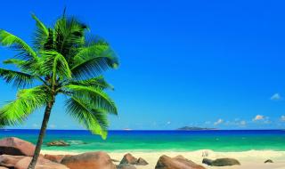 Где лучше отдыхать на Сейшельских островах