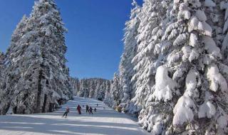Болгария в декабре - погода и цены